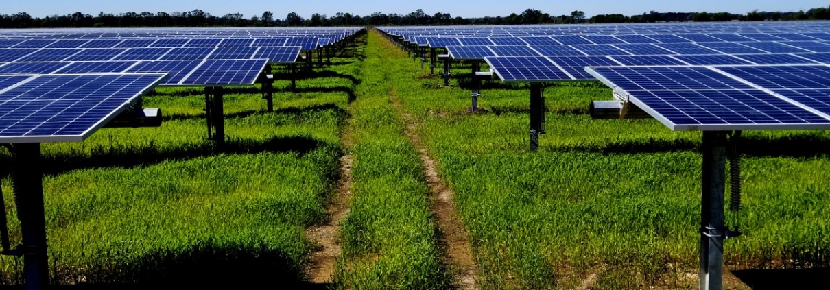 Field with solar panels, Chicot Solar Energy Center, Arkansas