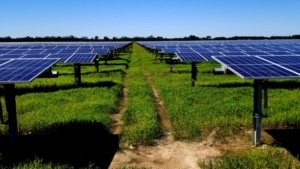Field with solar panels, Chicot Solar Energy Center, Arkansas