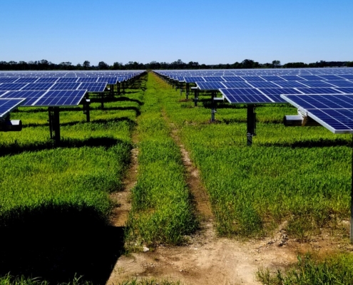 Field with solar panels, Chicot Solar Energy Center, Arkansas