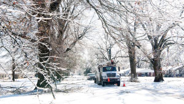 Restoration from ice storm in Cleveland, MS on 1/27/26