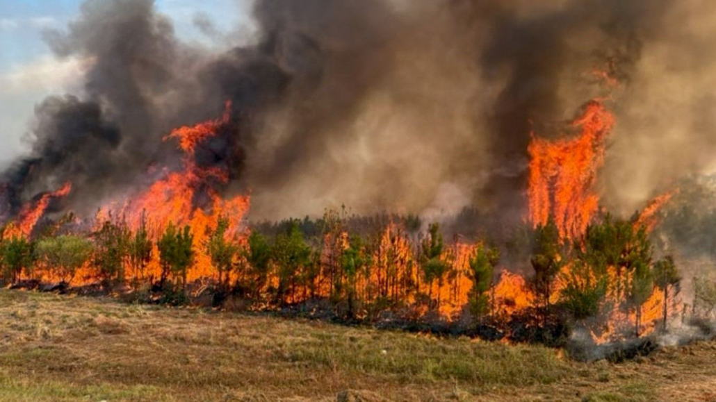 FIRE-MonticelloMS