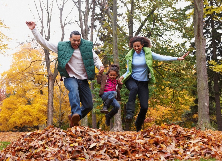 FallSafety2026