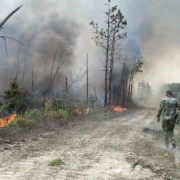 LaNatGuard2023Wildfire