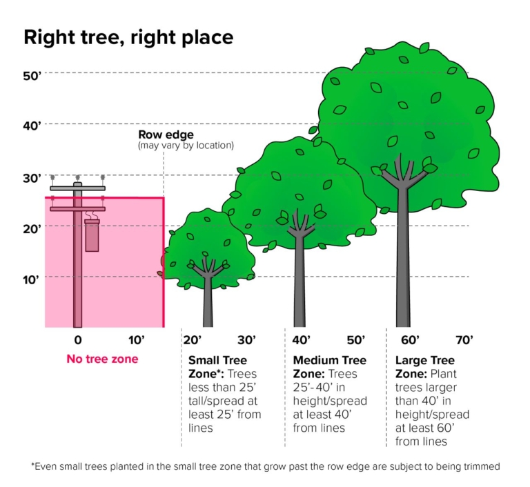 Right Tree Right Place Entergy