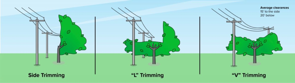 Trimming Rout How we trim trees – Entergy