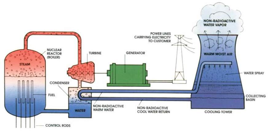 nuclear-plant-steam